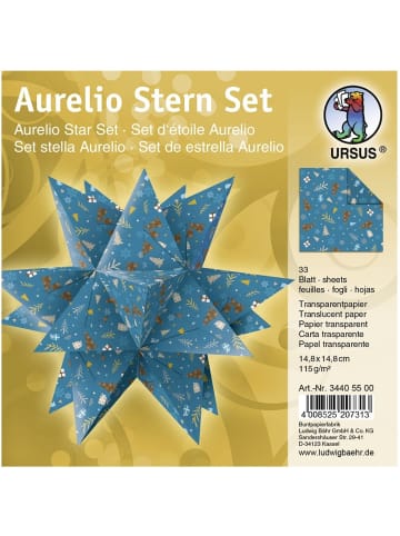 Buntpapierfabrik Ludwig Bähr Faltblätter Aurelio stern Winterzauber 115g/qm 14,8x14,8cm p...
