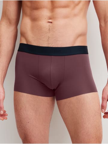 Calida New Boxer in mahogany red
