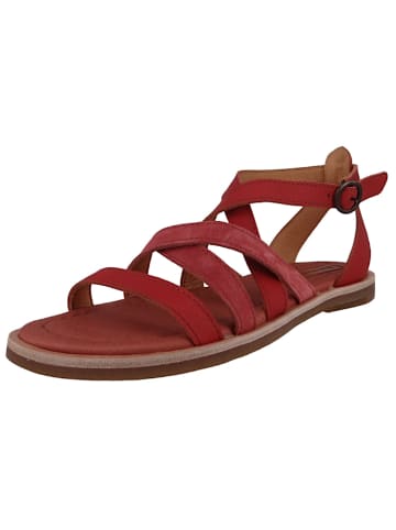 El Naturalista Sandalen rot