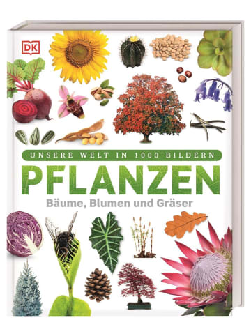 Dorling Kindersley  Pflanzen | Bäume, Blumen und Gräser