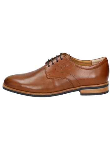 Sioux Schnürschuh Jaromir-712 in cognac