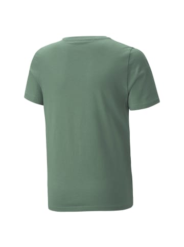 Puma T-Shirt in Grün (Deep Forest)