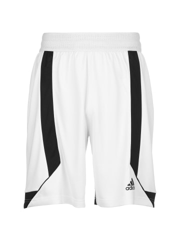 adidas Performance Trainingsshorts Creator 365 in weiß / schwarz