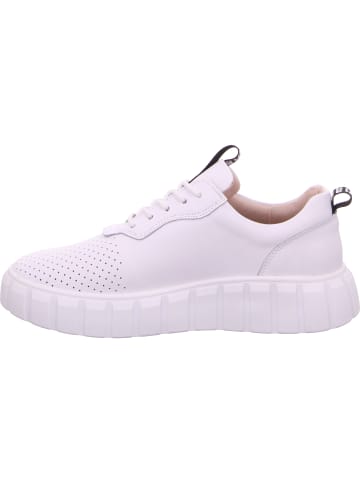 Scandi Sneaker in weiß