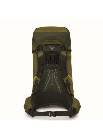 Osprey Atmos AG LT 65 L/XL - Trekkingrucksack 90 cm (scenic valley/green peppercorn) in scenic valley/green peppercorn
