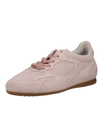 Gabor Sneaker Rosa