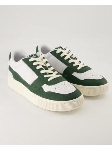 Lacoste Sneaker low in Grün