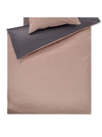 JOOP! Bettwäsche Micro Pattern 4040 18 in Caramel