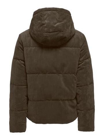 JDY Cordjacke in Delicioso