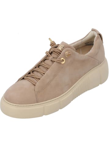Paul Green Schnürschuhe in antelope