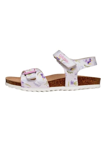 Geox Sandalen in Weiß/Lila
