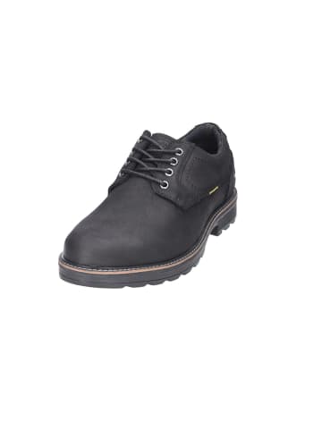 Camel Active Schnürschuh in schwarz