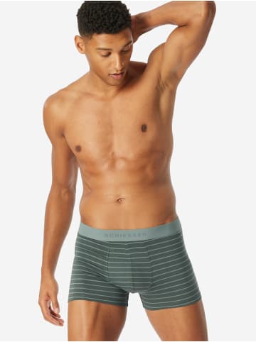 Schiesser Trunk 955 in sortiert 12