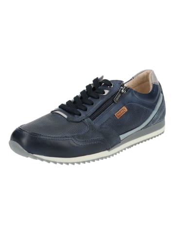 Pikolinos Sneaker in Blau