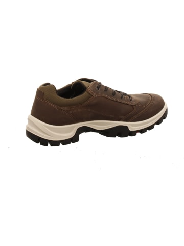 Ecco Sneaker in braun
