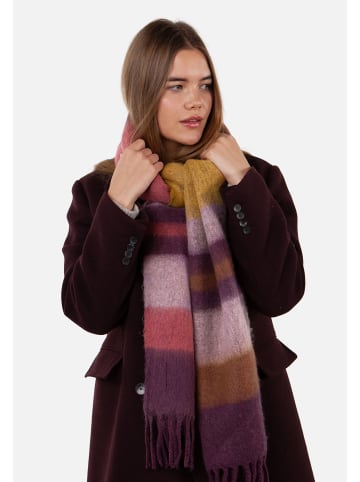 Barts ELUZABETH in bunt