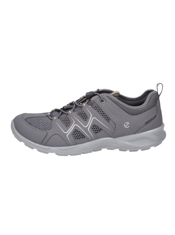 Ecco Schnürschuh in grau