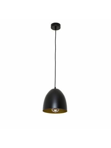 Licht-Erlebnisse Pendelleuchte Ø 19 x (T)80 cm in Schwarz Gold