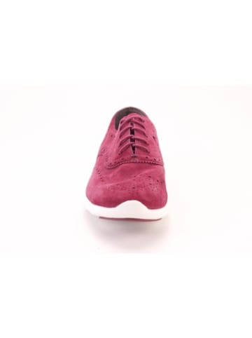 Cole Haan Schuhe W05373 in Rosa