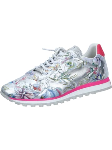 Cetti Sneakers Low in silver