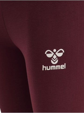 Hummel Leggings Hmlonze Tights in WINDSOR WINE