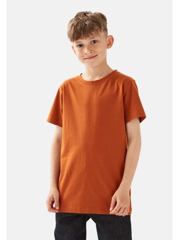 Band of Rascals T-Shirt " Basic " in rost
