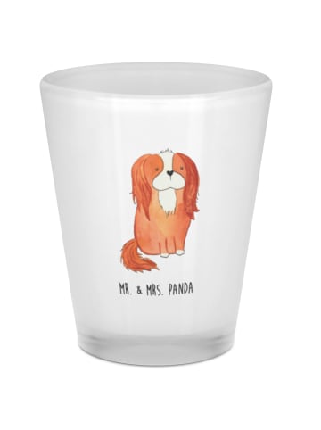 Mr. & Mrs. Panda Schnapsglas Hund Cavalier King Charles Spaniel ... in Transparent