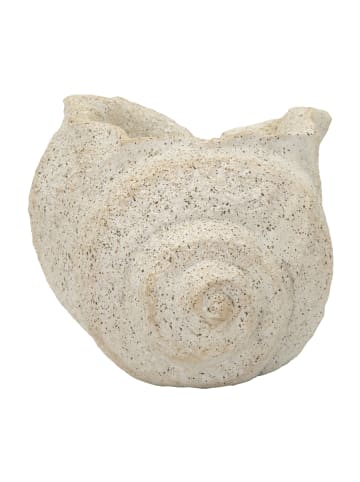Mauro Ferretti Beige Keramikvase in Muschelform, 35 x 23 x 18 cm