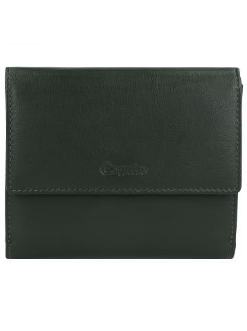 Esquire Viktoria Geldbörse RFID Leder 12 cm grün