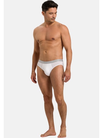 Hanro Slip / Unterhose Cotton Essentials in Weiß