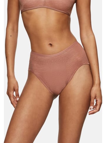 Triumph Maxi Slip Signature Sheer in Toasted almond