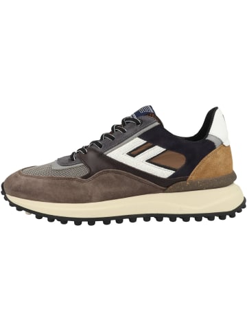 Floris van Bommel Sneaker low Noppi 29.06 in braun