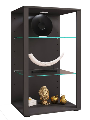 VCM  Holz Glas Stand Vitrine Sammelvitrine Glasol XL in Anthrazit