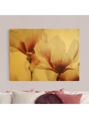 WALLART Leinwandbild Gold - Zarte Magnolienblüten im Lichtspiel in Rosa