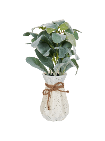 Beliani Kunstpflanze PEPEROMIA ARGYREIA in Grün/Schwarz - (W) 17 x (H) 30 x (L) 17 cm