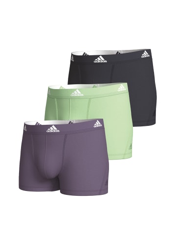 Adidas Sportswear Retro Short / Pant Active Flex Cotton in Lila / Schwarz / Hellgrün