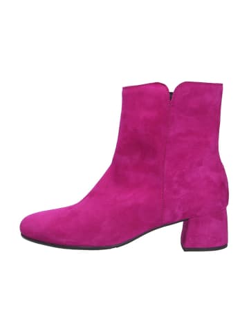 Gabor Stiefelette in rosa/pink