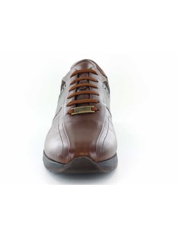 Galizio Torresi Sneaker in bunt