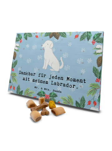 Mr. & Mrs. Panda Hunde Adventskalender Labrador Moment mit Spruch in Blau Pastell