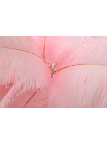 Mauro Ferretti Stehlampe mit rosa Federn, Ø 55 x 160 cm