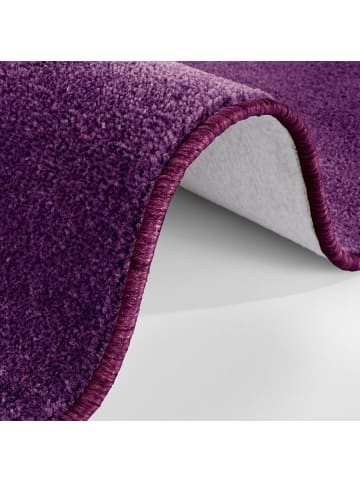 Kurzflor Teppich Nasty in Violett