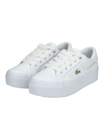 Lacoste Sneaker in Weiß/Gold