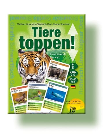 Drei Hasen Abendsonne Tiere toppen! | Faszinierende Tierwelt