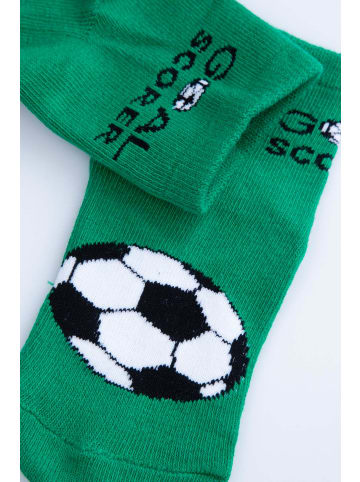 Coccodrillo Socken in grün