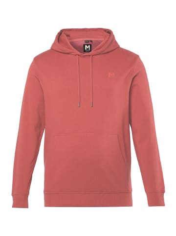 Men Plus Sweatshirt in terra