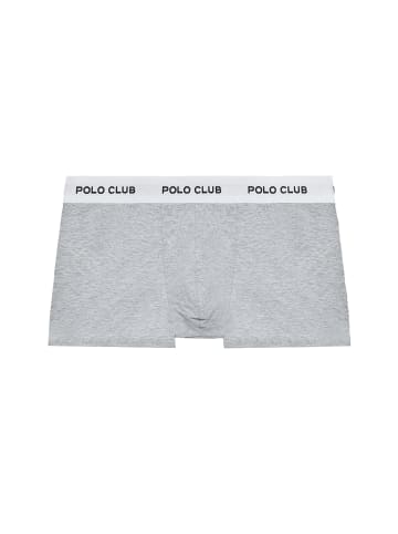 Polo Club 2 tlg. Set: Boxer in MULTICOLOR