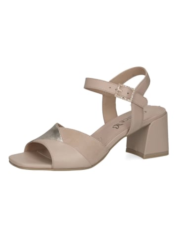 Caprice Sandalen in Beige