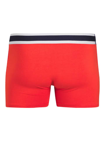 Jack & Jones 10er-pack Trunks in Aurora Red