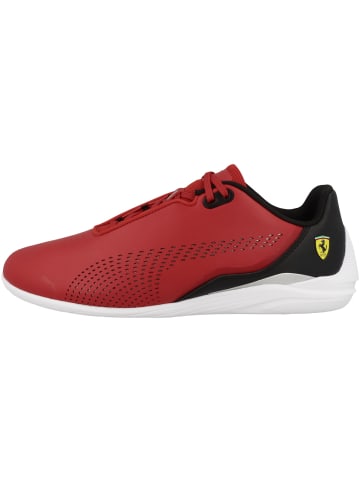 Puma Sneaker low Ferrari Drift Cat Decima in rot