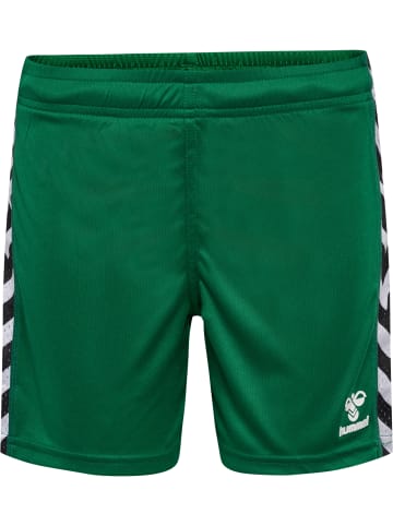 Hummel Hummel Kurze Hose Playful Shorts Lebensstil Kinder in EVERGREEN